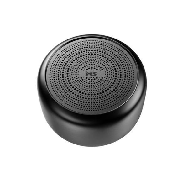 Bluetooth zvučnik Echo S300 MS 1217407