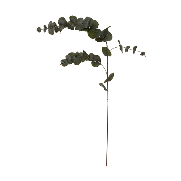 Dekorativna grana eukaliptus 12x12x118cm Atmosphera 185478