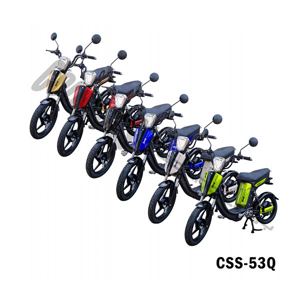 Električni bicikl Colossus CSS-53Q