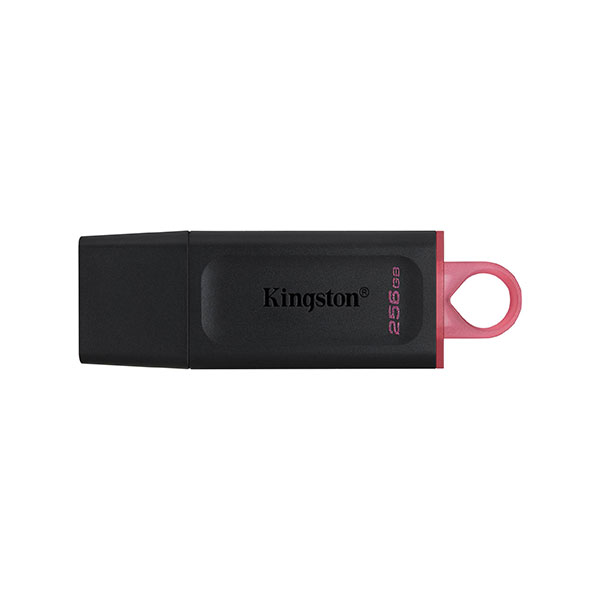 USB flash memorija 3.2 256Gb DTX/128GB Kingston 0001204552